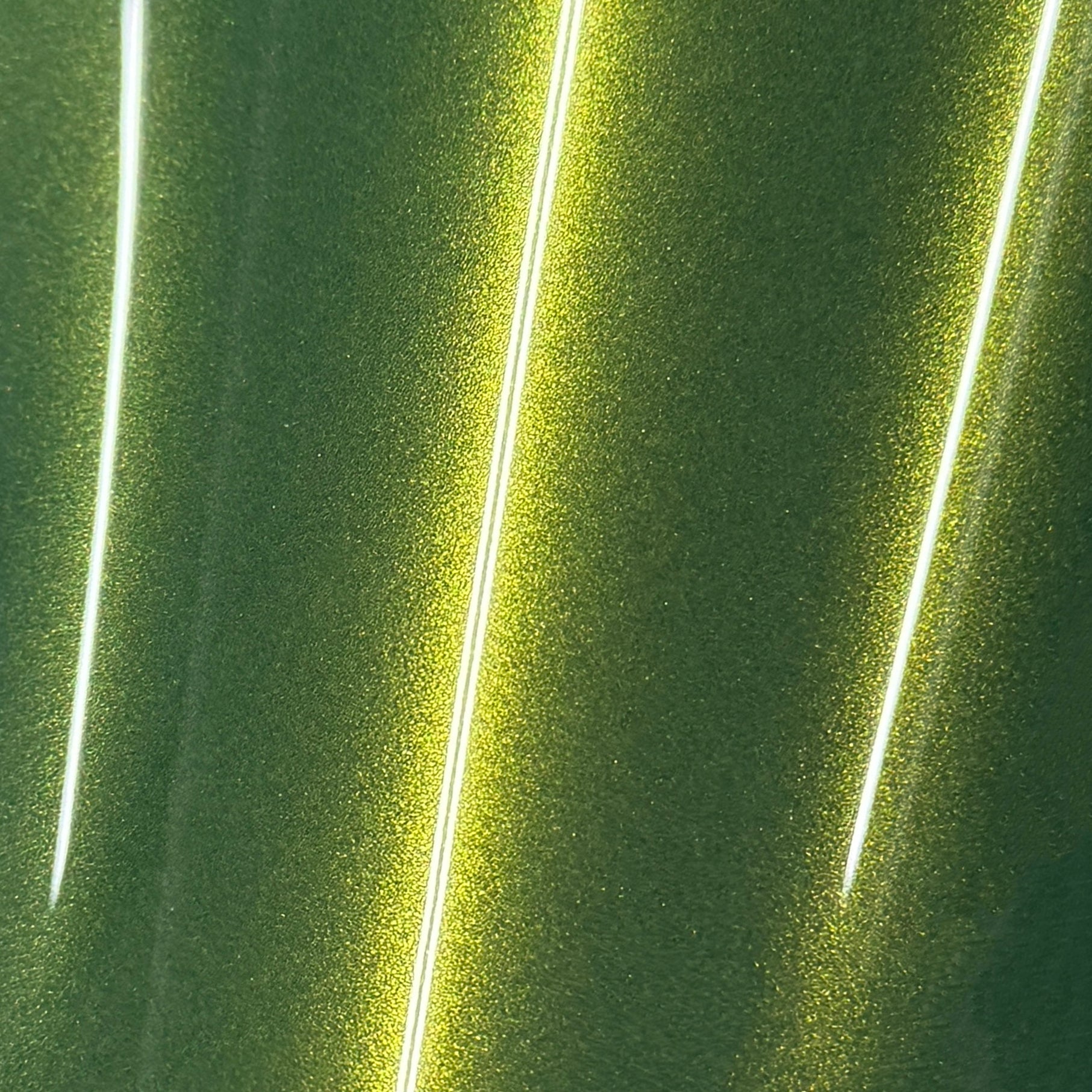 Brilliant PPF – Series 2 – Gloss Metallic Imperiale Green