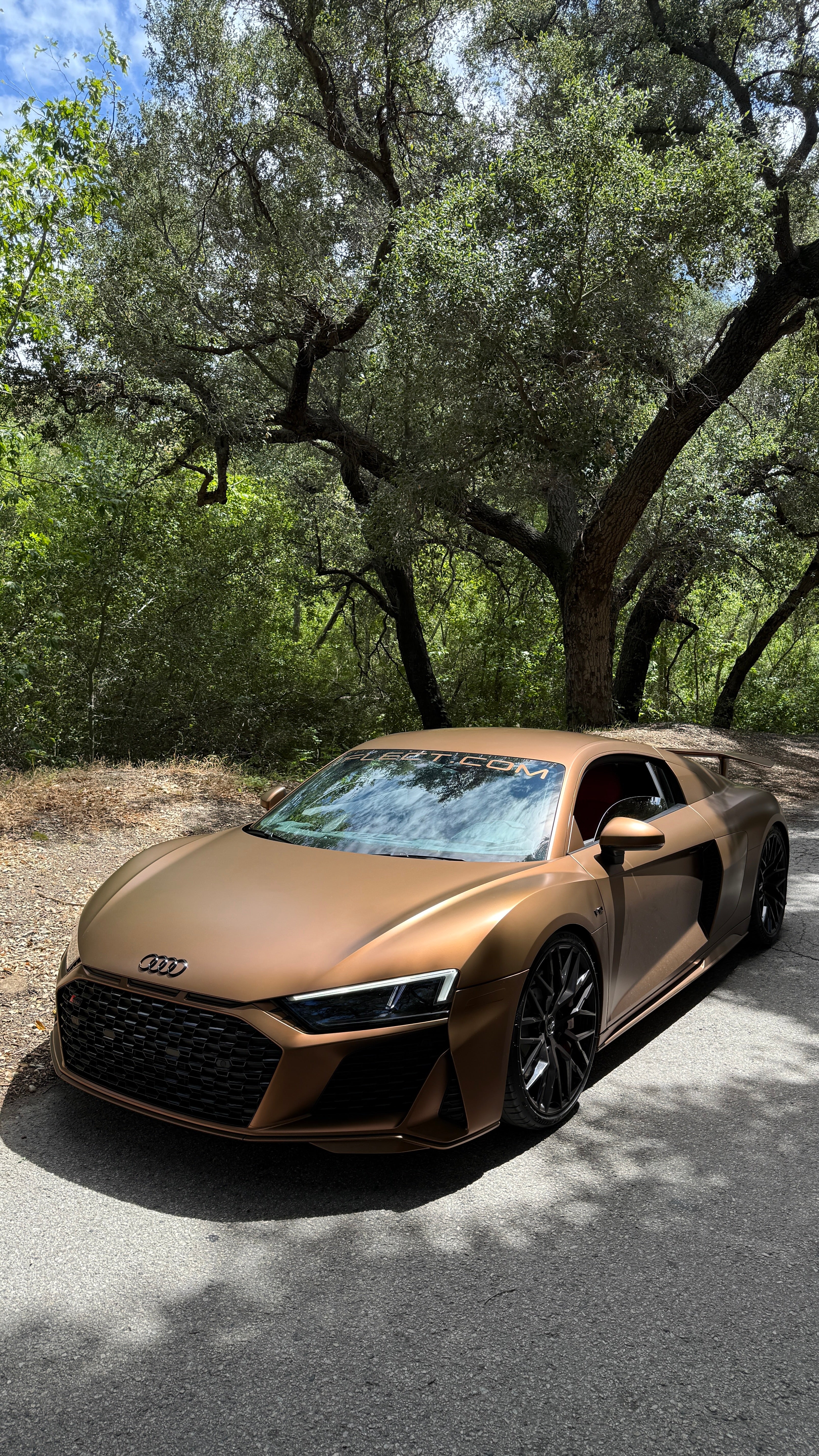 Brilliant PPF - Series 2 – Satin Chromatic Aurelian Bronze (Flect Bespoke Division - Limited Production)